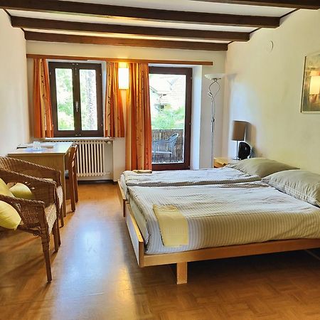 Parkhotel Emmaus - Casa Rustico Аскона Екстериор снимка